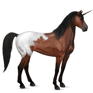 riding unicorn marwari liver chestnut tobiano
