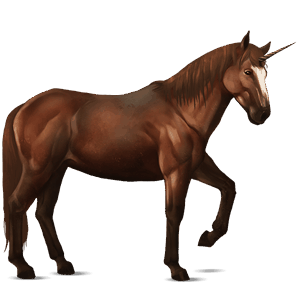 riding unicorn nokota chestnut