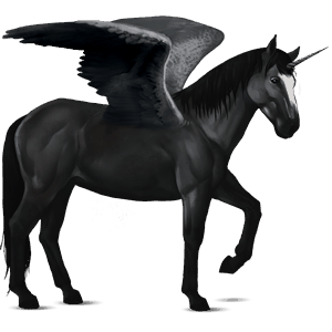 winged riding unicorn nokota roan
