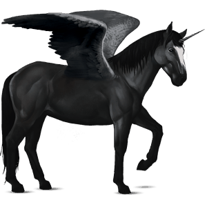 winged riding unicorn black