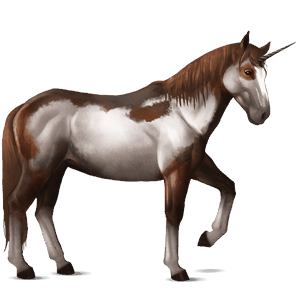 riding unicorn nokota dark bay