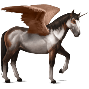 winged riding unicorn nokota bay overo