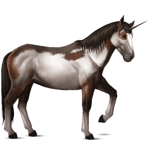 riding unicorn paint horse bay tobiano