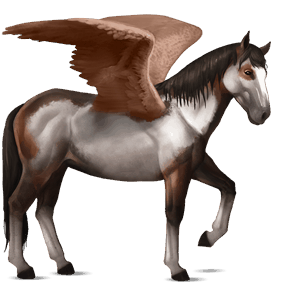 riding pegasus lusitano liver chestnut