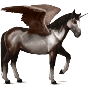 winged riding unicorn misaki bay