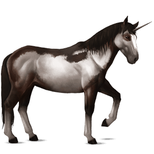 riding unicorn appaloosa few spots