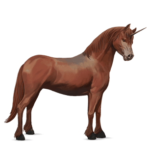 unicorn pony welsh chestnut