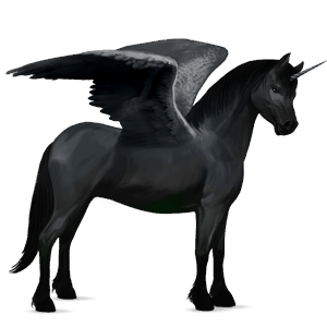 winged unicorn pony  australian pony black