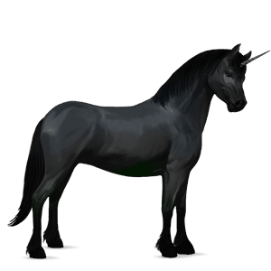 unicorn pony australian pony black