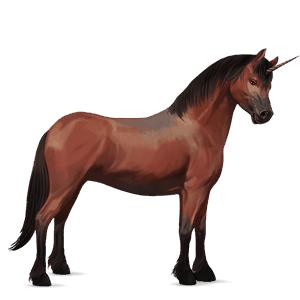 unicorn pony roan