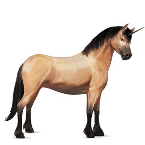unicorn pony australian pony dun