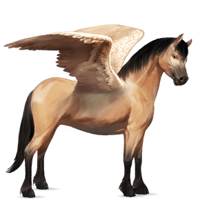 pegasus pony highland pony dun
