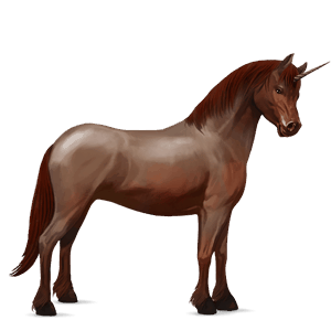 unicorn pony fjord brunblakk