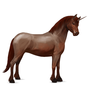 unicorn pony australian pony roan