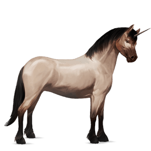 unicorn pony fjord brunblakk