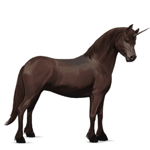 unicorn pony newfoundland pony liver chestnut