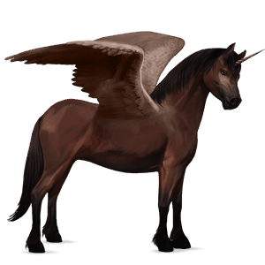 winged unicorn pony  newfoundland pony dark bay