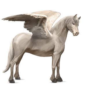 pegasus pony connemara cremello