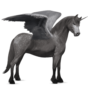 winged unicorn pony  newfoundland pony dapple gray