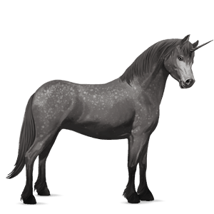 unicorn pony chincoteague pony dapple gray
