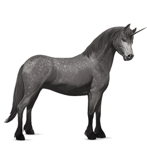 unicorn pony newfoundland pony dapple gray