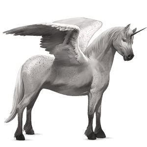 winged unicorn pony  belgian riding pony bay