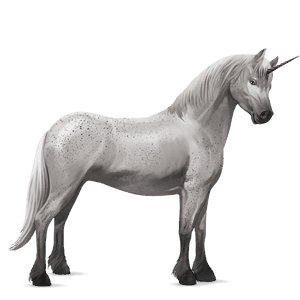 unicorn pony connemara light gray