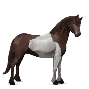 pony kerry bog mouse gray