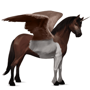 winged unicorn pony  chincoteague pony black