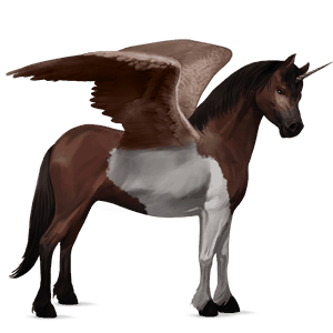 winged unicorn pony  black