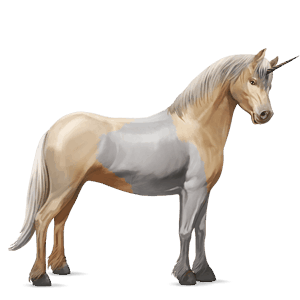 unicorn pony australian pony strawberry roan