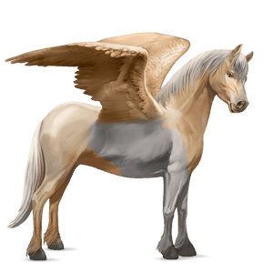 pegasus pony shetland dapple gray