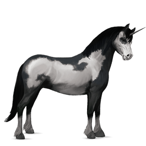 unicorn pony black overo