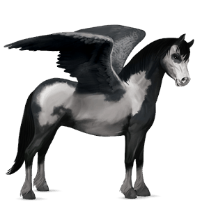 pegasus pony kerry bog mouse gray tobiano