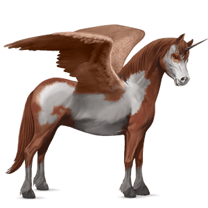winged unicorn pony  bay