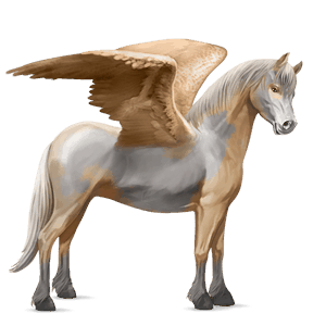 pegasus pony kerry bog dun