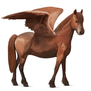 pegasus pony chincoteague pony chestnut