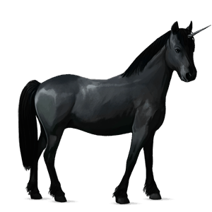 unicorn pony black