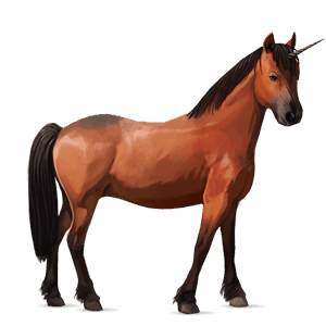unicorn pony chincoteague pony cherry bay