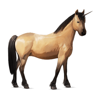 unicorn pony australian pony chestnut