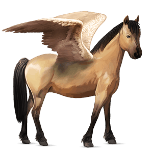 pegasus pony newfoundland pony roan