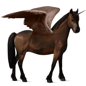 winged unicorn pony  dark bay