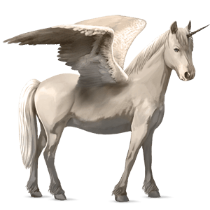 winged unicorn pony  australian pony bay