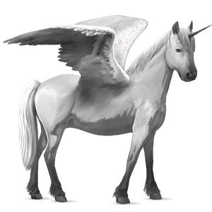 winged unicorn pony  newfoundland pony light gray