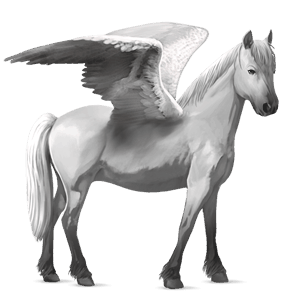 pegasus pony welsh roan