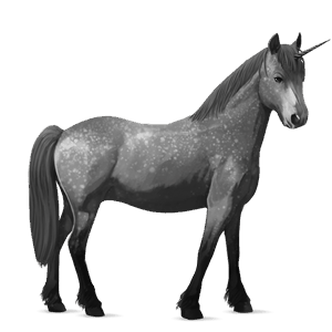 unicorn pony australian pony dapple gray