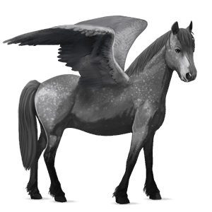 pegasus pony welsh dapple gray
