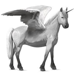winged unicorn pony  dark bay