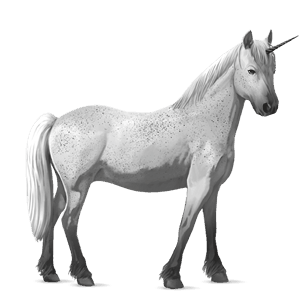 unicorn pony chincoteague pony fleabitten gray