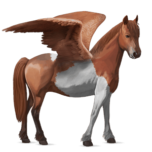 pegasus pony quarter pony mouse gray